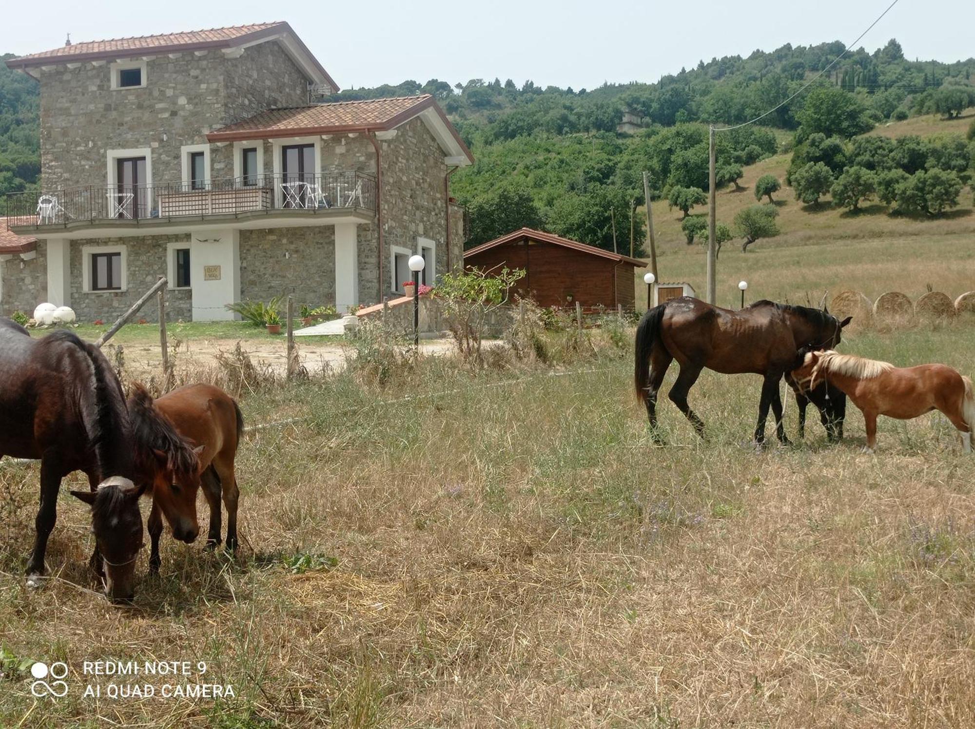 Lux Vera B & B Agropoli Exterior foto