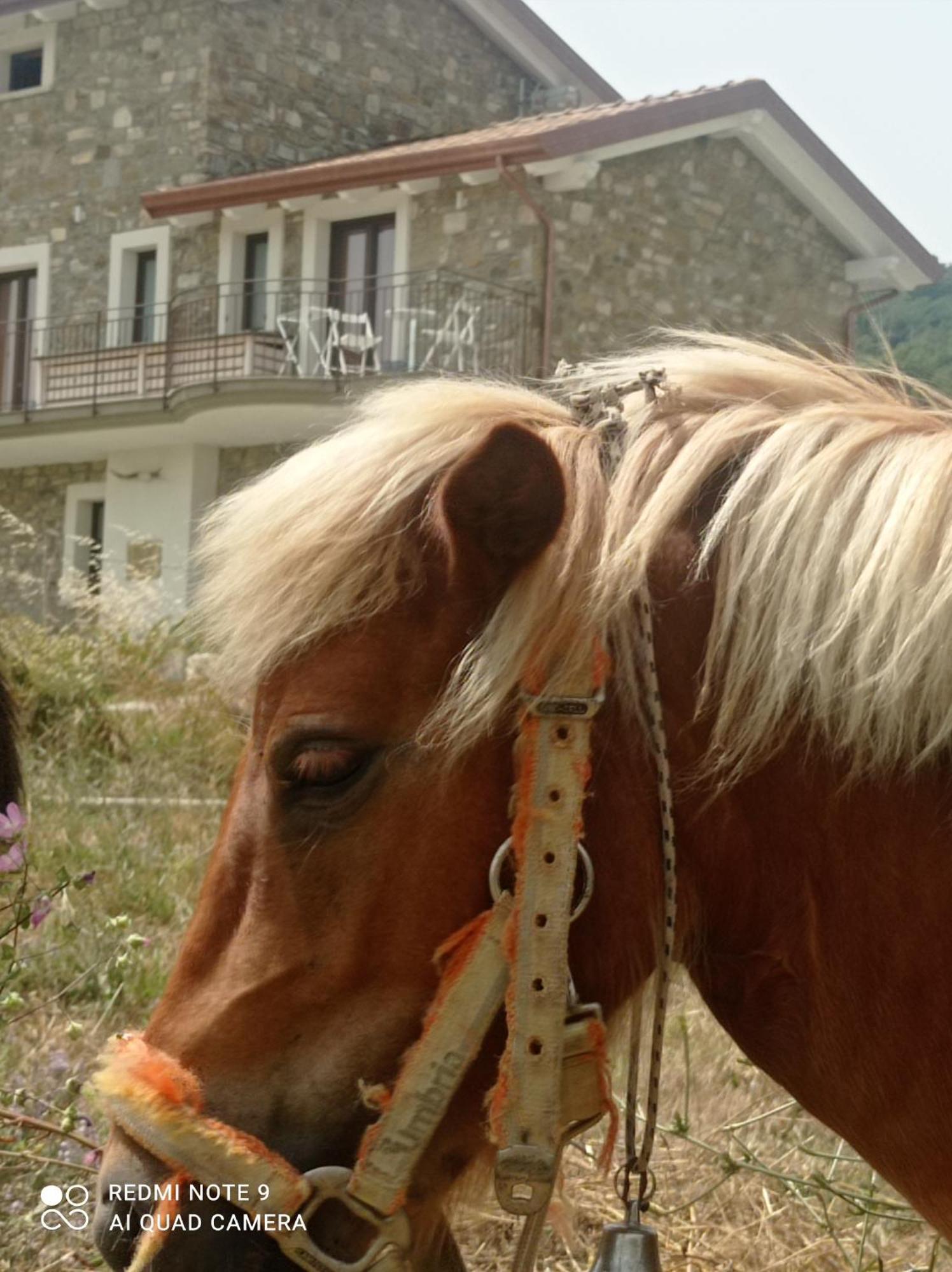 Lux Vera B & B Agropoli Exterior foto